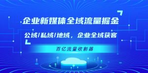 企业新媒体全域流量掘金：公域/私域/地域 企业全域获客 百亿流量收割器-网创项目总站
