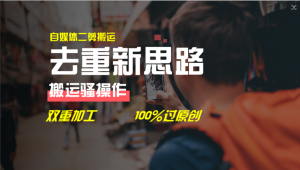 去重新思路，详细教你自媒体视频二剪搬运技术，自己加工双重去重100%过原创-网创项目总站