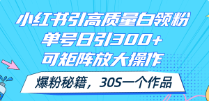 （11692期）小红书引高质量白领粉，单号日引300+，可放大操作，爆粉秘籍！30s一个作品-网创项目总站
