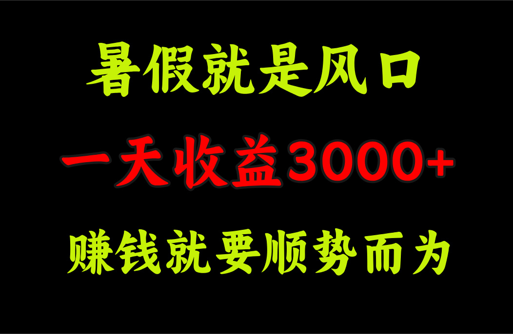 （11670期）一天收益3000+ 赚钱就是顺势而为，暑假就是风口-网创项目总站