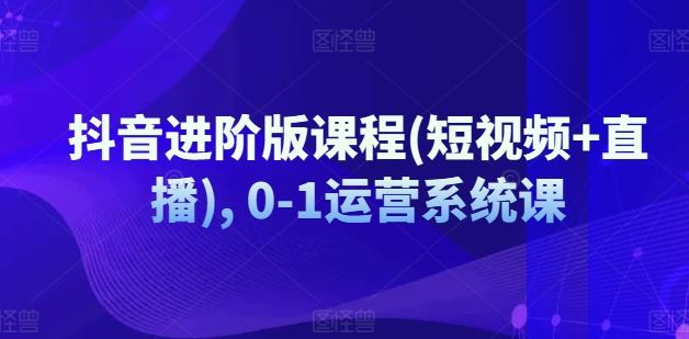 抖音进阶版课程(短视频+直播), 0-1运营系统课-网创项目总站
