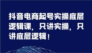 抖音电商起号实操底层逻辑课，只讲实操，只讲底层逻辑！（7节）-网创项目总站