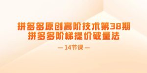 （11704期）拼多多原创高阶技术第38期，拼多多阶梯提价破量法（14节课）-网创项目总站