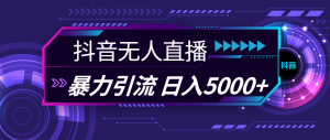 （11709期）抖音无人直播，暴利引流，日入5000+-网创项目总站