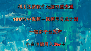 （11710期）利用这款软件无脑双重去重 100％中视频＋视频号分成计划 小白也能月入3w＋-网创项目总站