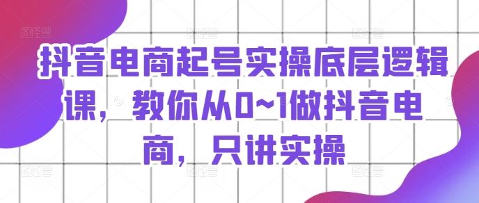 抖音电商起号实操底层逻辑课，教你从0~1做抖音电商，只讲实操-网创项目总站