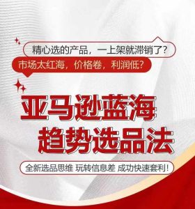 亚马逊蓝海趋势选法，全新选品思维，玩转信息差-网创项目总站