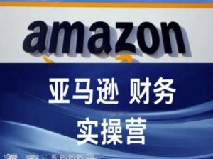 亚马逊财务核算实操营-亚马逊跨境电商教程-网创项目总站