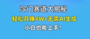 冷门赛道大揭秘,轻松月赚1W+无需AI生成,小白也能上手【揭秘】-网创项目总站
