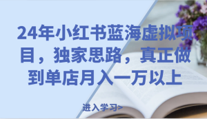 24年小红书蓝海虚拟项目，独家思路，真正做到单店月入一万以上。-网创项目总站