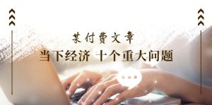 公众号付费文章《当下经济 十个重大问题》覆盖了大家关心的全部经济类话题-网创项目总站