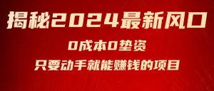 （11727期）揭秘2024最新风口，0成本0垫资，新手小白只要动手就能赚钱的项目—空调-网创项目总站
