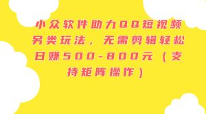 （11736期）小众软件助力QQ短视频另类玩法，无需剪辑轻松日赚500-800元（支持矩阵…-网创项目总站