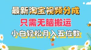 （11744期）最新淘宝视频分成，只需无脑搬运，小白也能轻松月入五位数，可矩阵批量…-网创项目总站