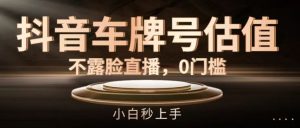 抖音车牌号估值，不露脸直播，0门槛，小白秒上手【揭秘】-网创项目总站
