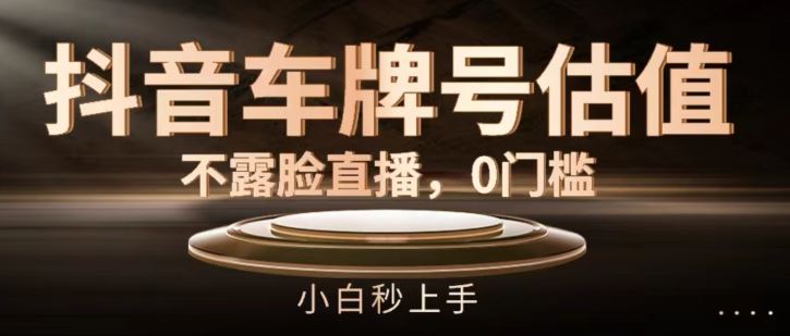 抖音车牌号估值，不露脸直播，0门槛，小白秒上手【揭秘】-网创项目总站