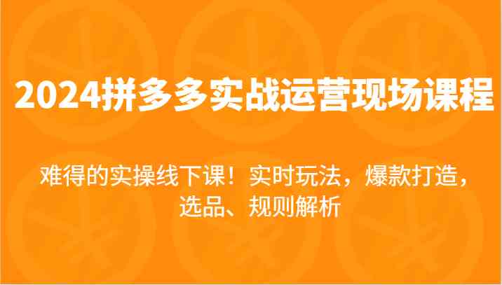 2024拼多多实战运营现场课，实时玩法，爆款打造，选品、规则解析，难得的实操线下课！-网创项目总站