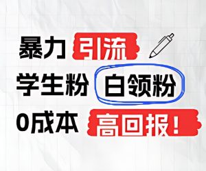 暴力引流学生粉白领粉，吊打以往垃圾玩法，0成本，高回报-网创项目总站