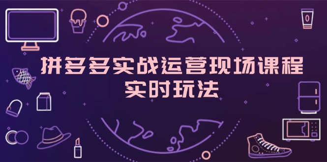（11759期）拼多多实战运营现场课程，实时玩法，爆款打造，选品、规则解析-网创项目总站