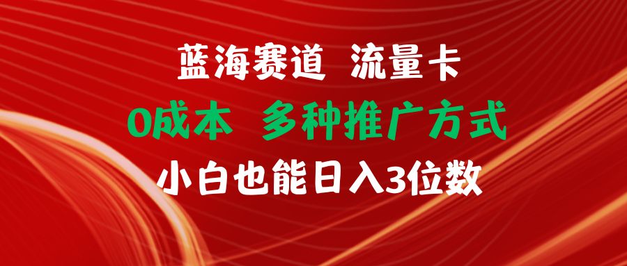 （11768期）蓝海赛道 流量卡 0成本 小白也能日入三位数-网创项目总站