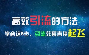 （11776期）高效引流的方法，可以帮助你日引300+创业粉，一年轻松收入30万，比打工强-网创项目总站