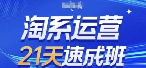 淘系运营21天速成班(更新24年7月)，0基础轻松搞定淘系运营，不做假把式-网创项目总站