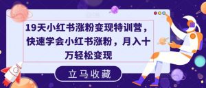 19天小红书涨粉变现特训营，快速学会小红书涨粉，月入十万轻松变现-网创项目总站