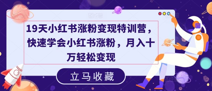 19天小红书涨粉变现特训营，快速学会小红书涨粉，月入十万轻松变现-网创项目总站