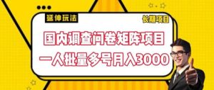 国内调查问卷矩阵项目，一人批量多号月入3000【揭秘】-网创项目总站