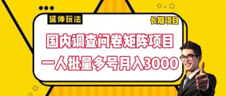 国内调查问卷矩阵项目，一人批量多号月入3000【揭秘】-网创项目总站