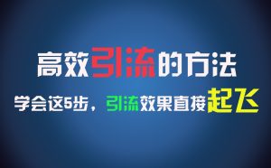 高效引流的方法，可以帮助你日引300+创业粉，一年轻松收入30万，比打工强太多！-网创项目总站
