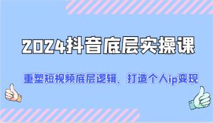 2024抖音底层实操课：重塑短视频底层逻辑，打造个人ip变现（52节）-网创项目总站