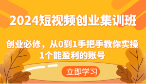 2024短视频创业集训班:创业必修,从0到1手把手教你实操1个能盈利的账号-网创项目总站