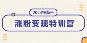 （11779期）2024视频号-涨粉变现特训营：一站式打造稳定视频号涨粉变现模式（10节）-网创项目总站