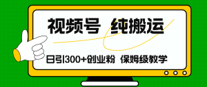 （11827期）视频号纯搬运日引流300+创业粉，日入4000+-网创项目总站