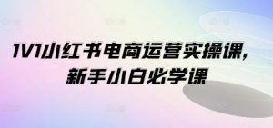 1V1小红书电商运营实操课，新手小白必学课-网创项目总站