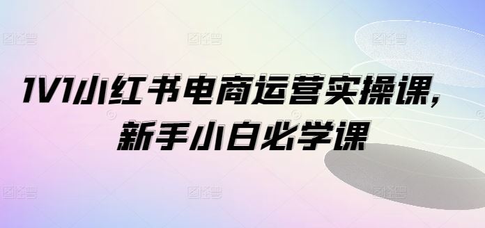 1V1小红书电商运营实操课,新手小白必学课-网创项目总站
