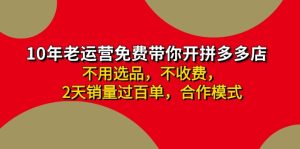 （11853期）拼多多 最新合作开店日收4000+两天销量过百单，无学费、老运营代操作、…-网创项目总站