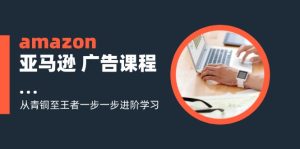 （11839期）amazon亚马逊 广告课程：从青铜至王者一步一步进阶学习（16节）-网创项目总站