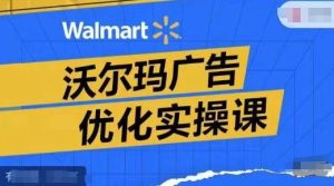 沃尔玛广告优化实操课，广告报告实操讲解，广告如何提高转化和ROAS等-网创项目总站