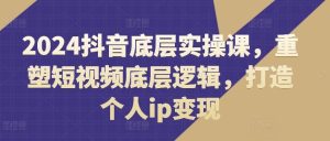 2024抖音底层实操课，​重塑短视频底层逻辑，打造个人ip变现-网创项目总站