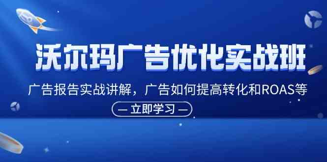 沃尔玛广告优化实战班，广告报告实战讲解，广告如何提高转化和ROAS等-网创项目总站