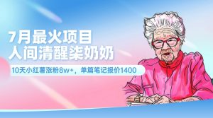（11861期）7月最火项目，人间清醒柒奶奶，10天小红薯涨粉8w+，单篇笔记报价1400.-网创项目总站