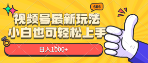 （11881期）视频号最新玩法，小白也可轻松上手，日入1000+-网创项目总站