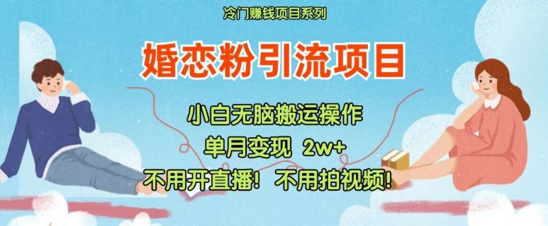 小红书婚恋粉引流，不用开直播，不用拍视频，不用做交付【揭秘】-网创项目总站