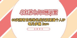 小红书个人IP陪跑营：两个月打造自动转化成交的多渠道个人IP，每月收入2w+（30节）-网创项目总站