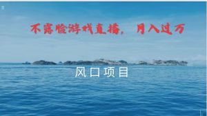 不露脸不出镜，玩转找茬游戏，普通人实现月入过万的好项目-网创项目总站