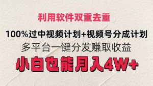 （11862期）利用软件双重去重，100%过中视频+视频号分成计划小白也可以月入4W+-网创项目总站