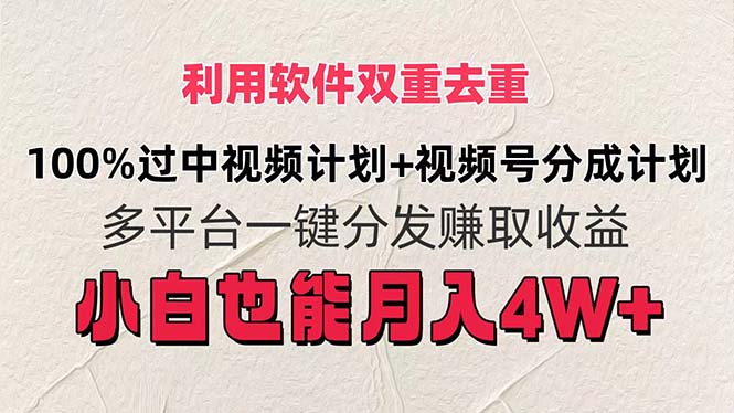 （11862期）利用软件双重去重，100%过中视频+视频号分成计划小白也可以月入4W+-网创项目总站