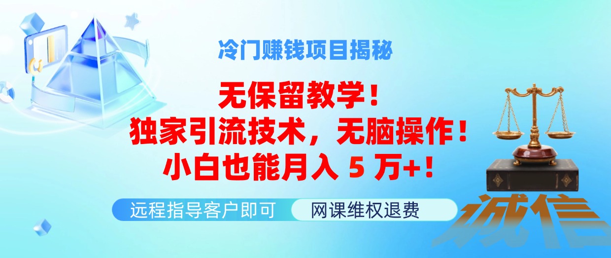 （11864期）冷门赚钱项目无保留教学！独家引流技术，无脑操作！小白也能月入5万+！-网创项目总站